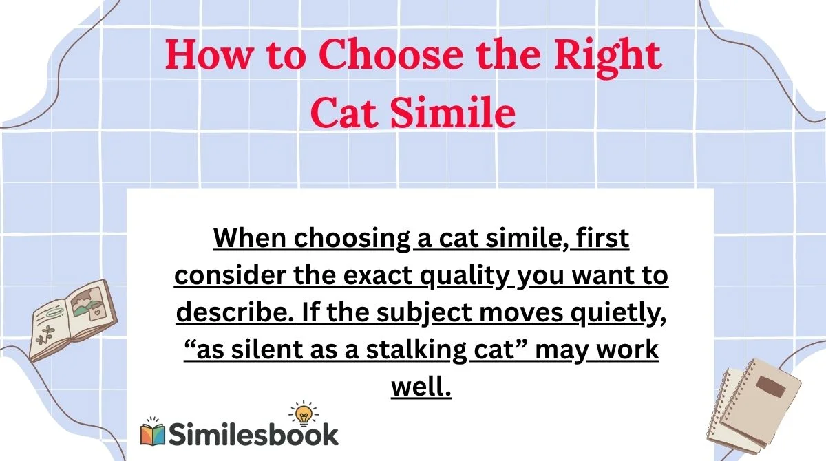 How to Choose the Right Cat Simile