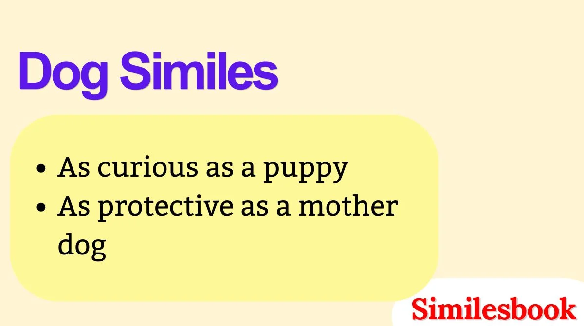 Dog Similes