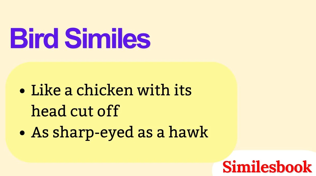 Bird Similes
