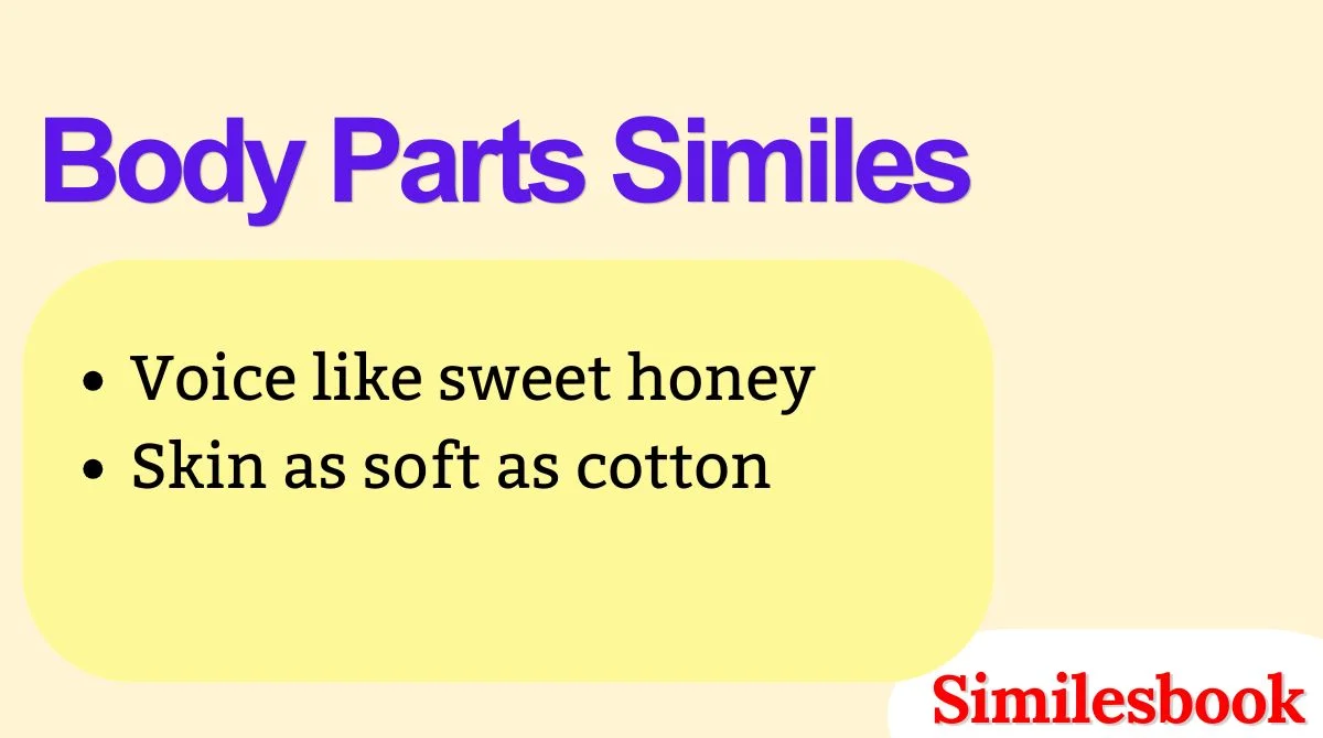Body Parts Similes