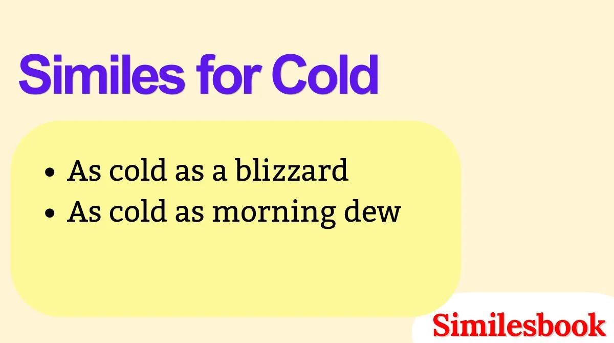 Similes for Cold
