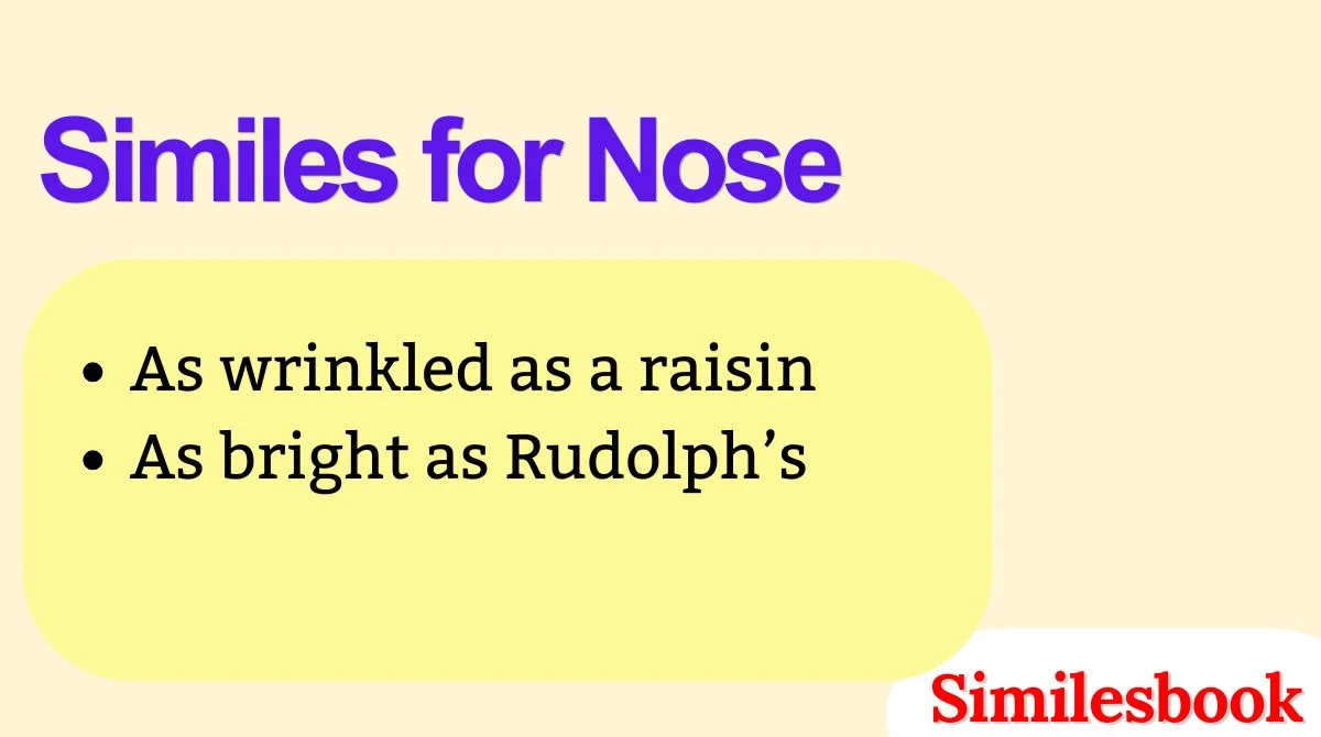 Similes for Nose