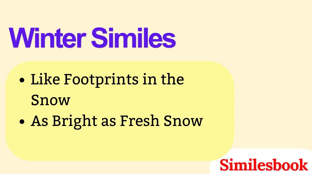 Winter Similes
