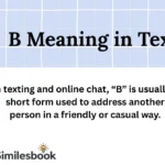 B Meaning in Text