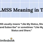 LMSS Meaning in Text