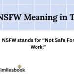 NSFW Meaning in Text