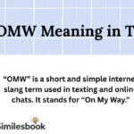 OMW Meaning in Text