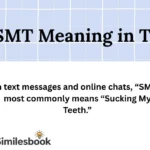 SMT Meaning in Text