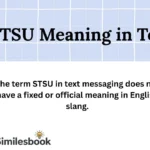 STSU Meaning in Text