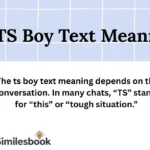 TS Boy Text Meaning