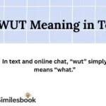 wut-meaning-in-text