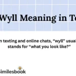 Wyll Meaning in Text