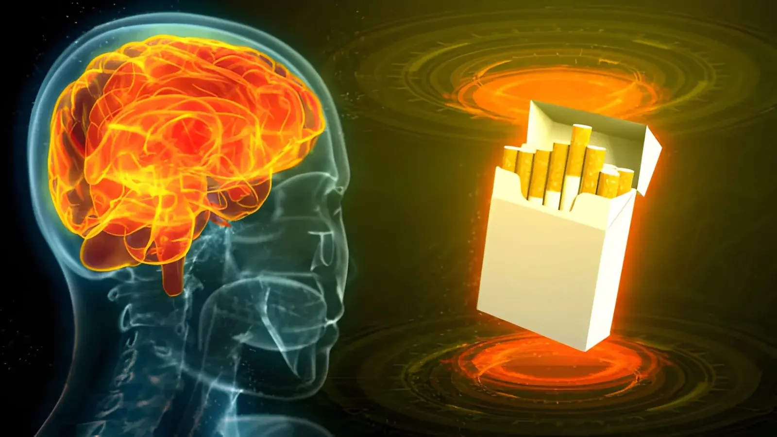 Like a Smoke Alarm Set Too Sensitive Similes That Explain How Addiction Rewires the Brain